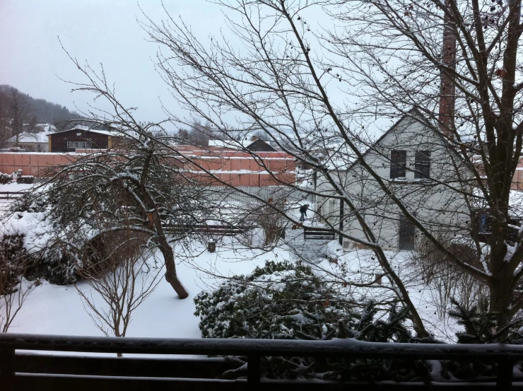 a snow covered tree sitting next to a house