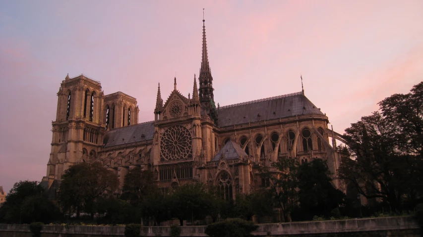 view of cathedral with trees in foreground and twilight sky