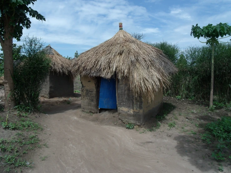 an hut with grass roof and doors sits in the middle of trees