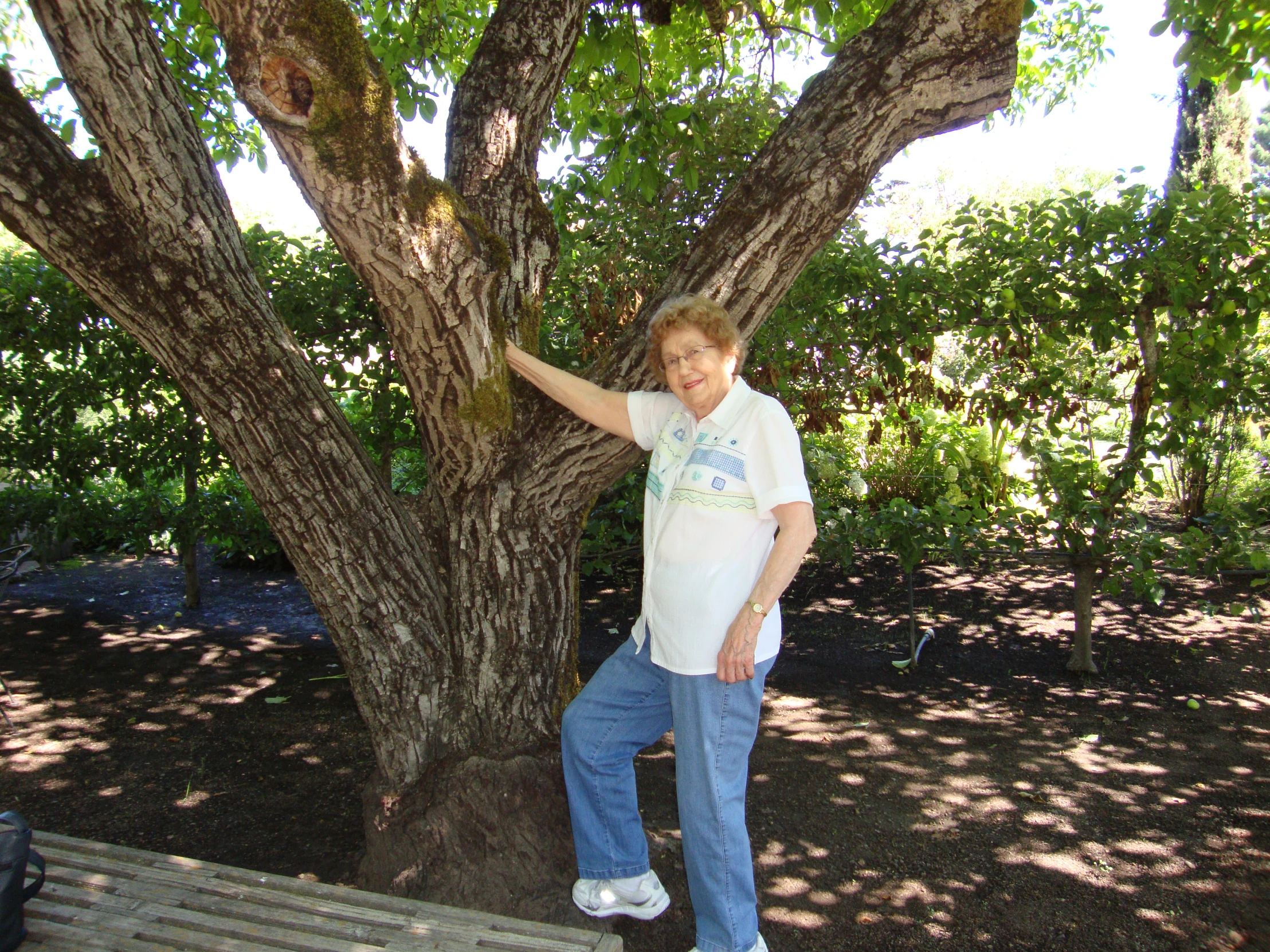 the boy is hanging onto a tree limb