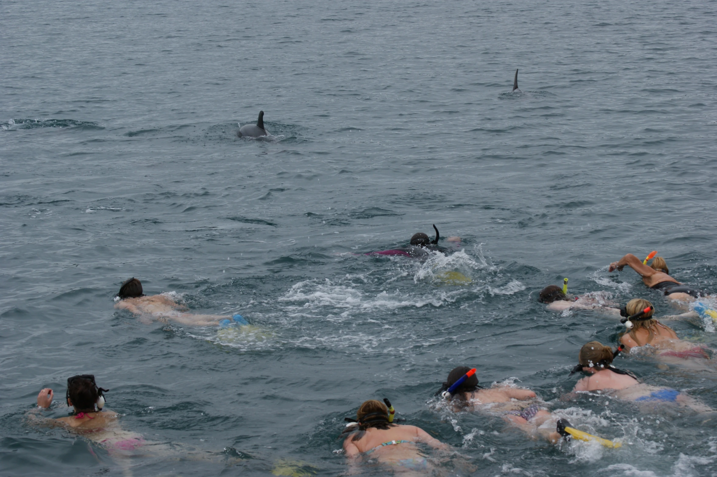 there are many people swimming in the ocean