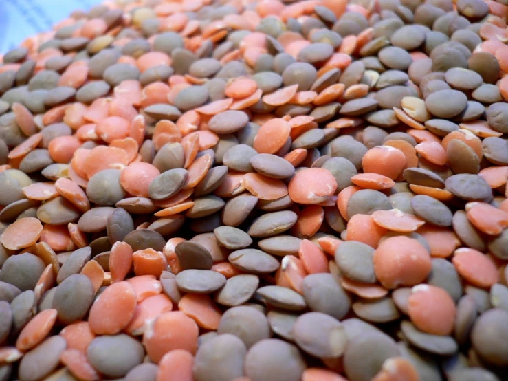 a pile of orange and brown beans next to each other