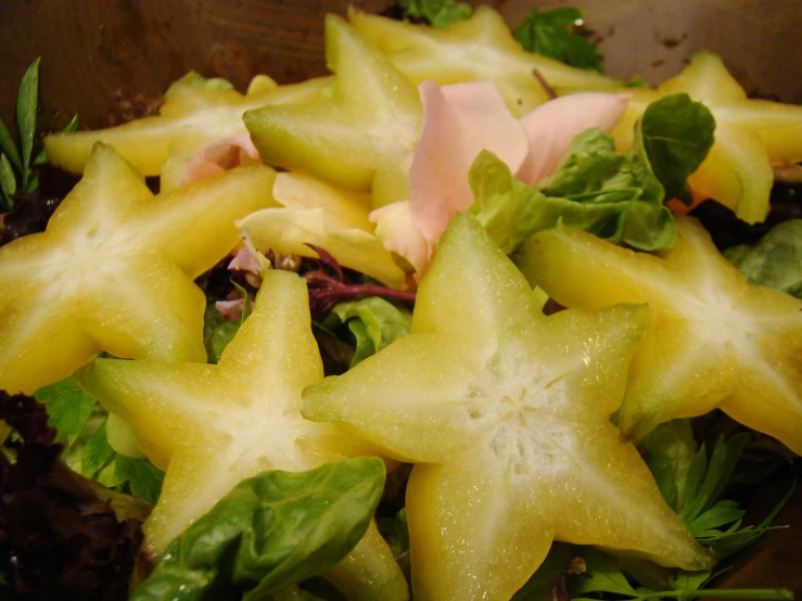 some food that is laying out in the dirt