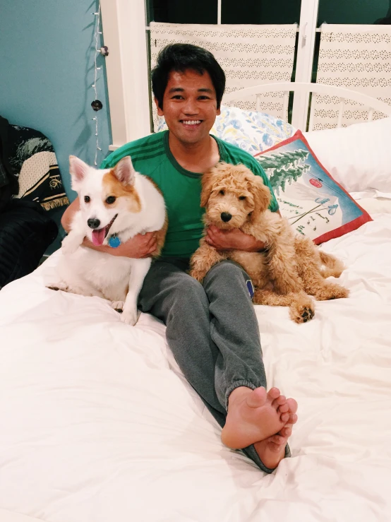a man in green shirt sitting on bed with three dogs