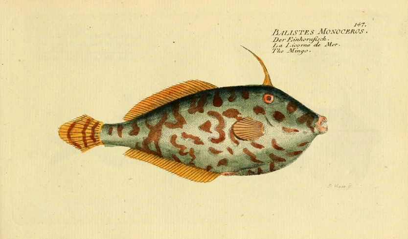 an illustration of an animal with some spots