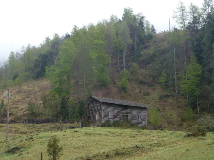 a shed in the middle of a hill with a forest behind it