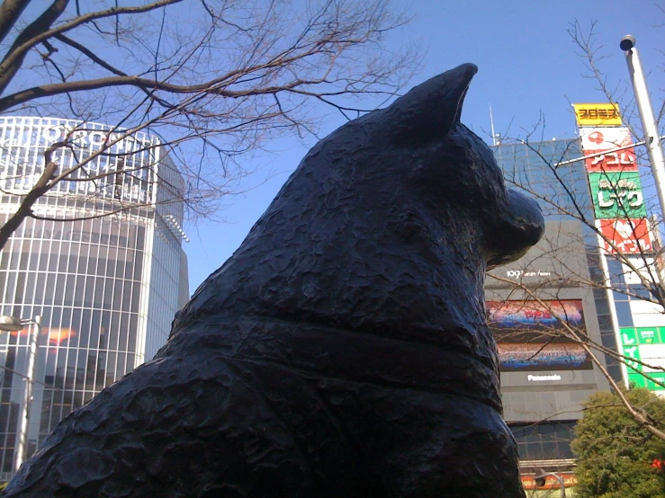 a black cat statue near a building in a city