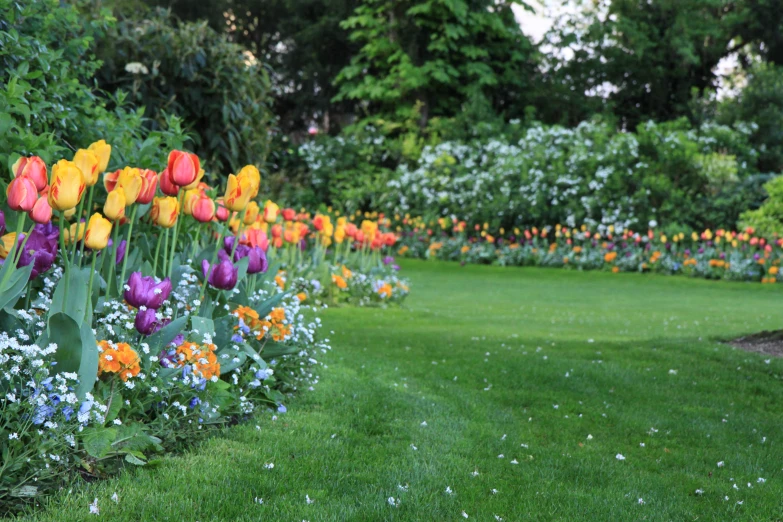 colorful flowers line the pathway in the spring