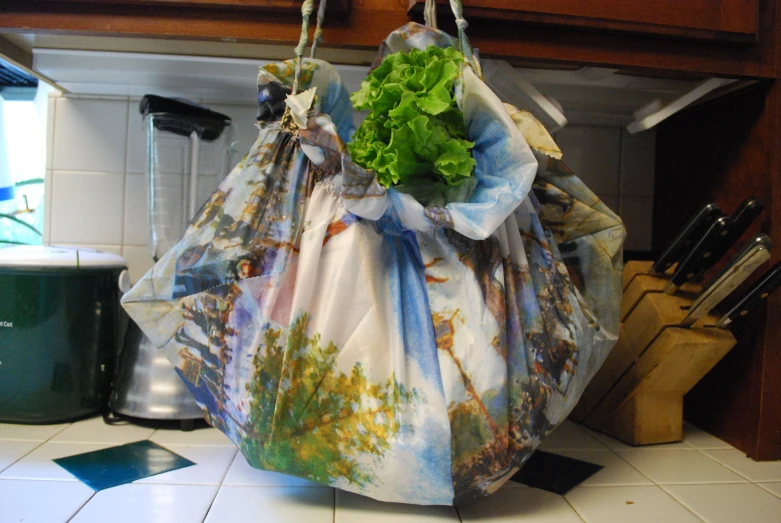 bag with vegetables hanging from it on the counter