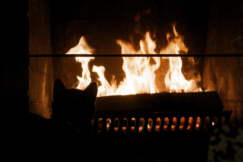 a cat sitting next to a fire place filled with lit candles