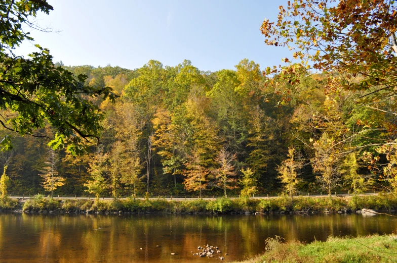 a body of water surrounded by trees on the side of a hill