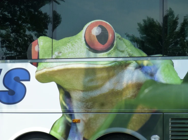 a frog on the side of a bus