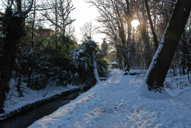 a very long snowy path leads down to a stream