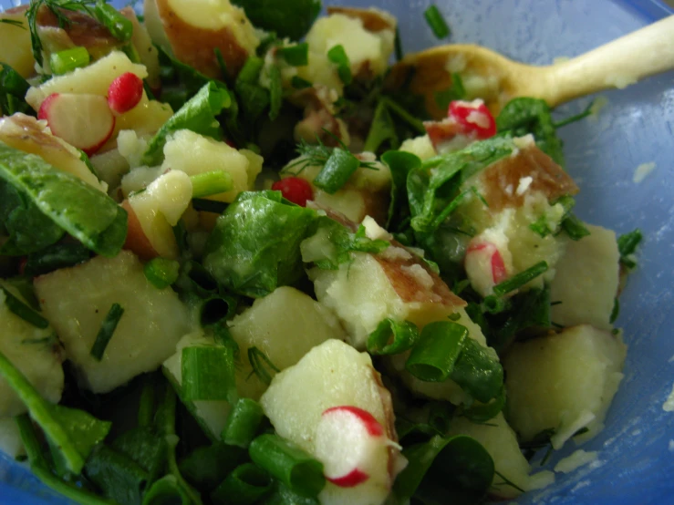 the vegetable salad has pineapples and lettuce in it