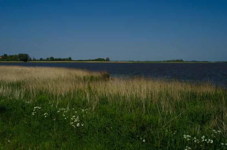 this is a view of a large body of water