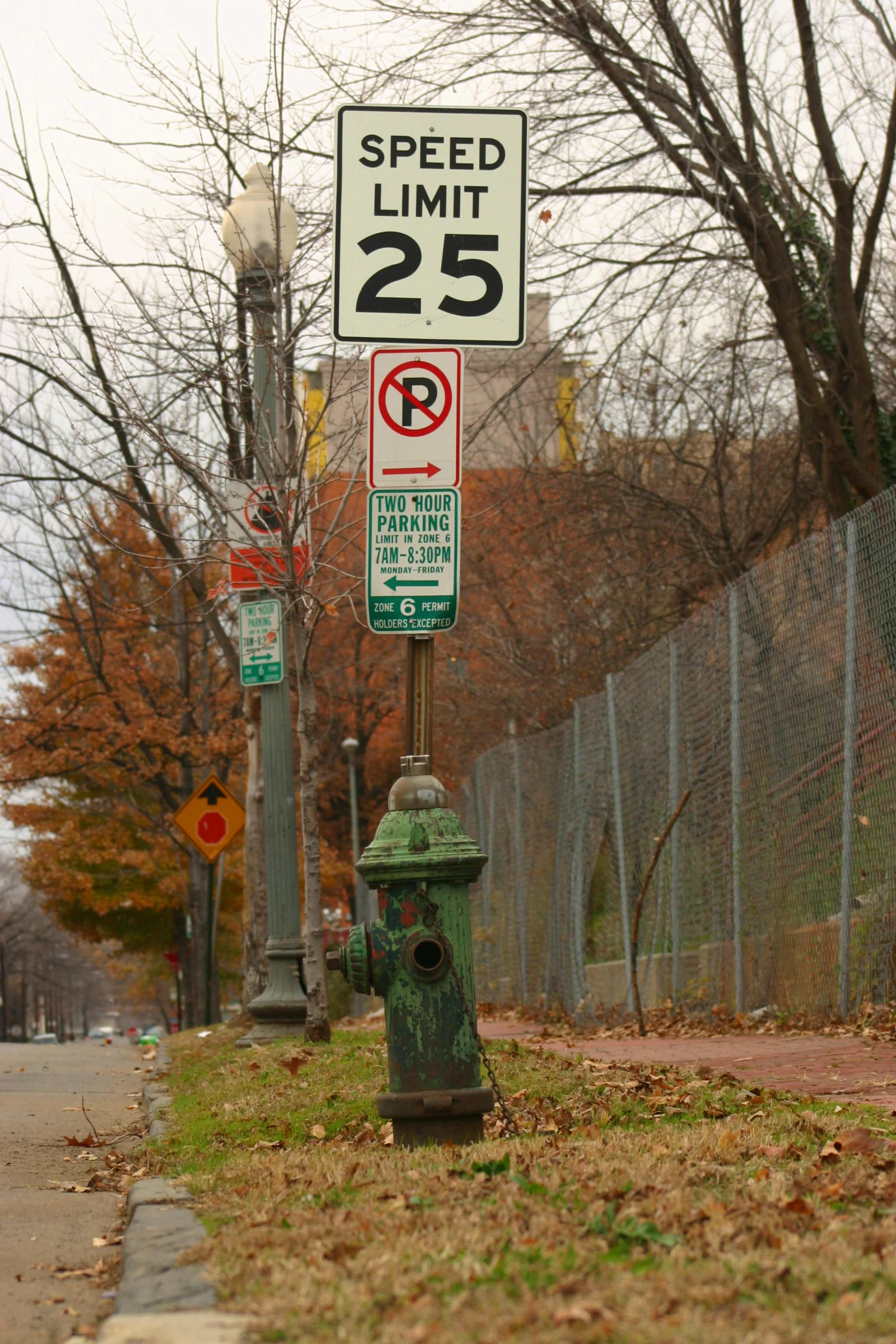 there is a green fire hydrant in the middle of the street