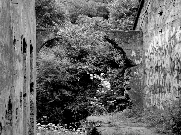 a person in the middle of a run down alley