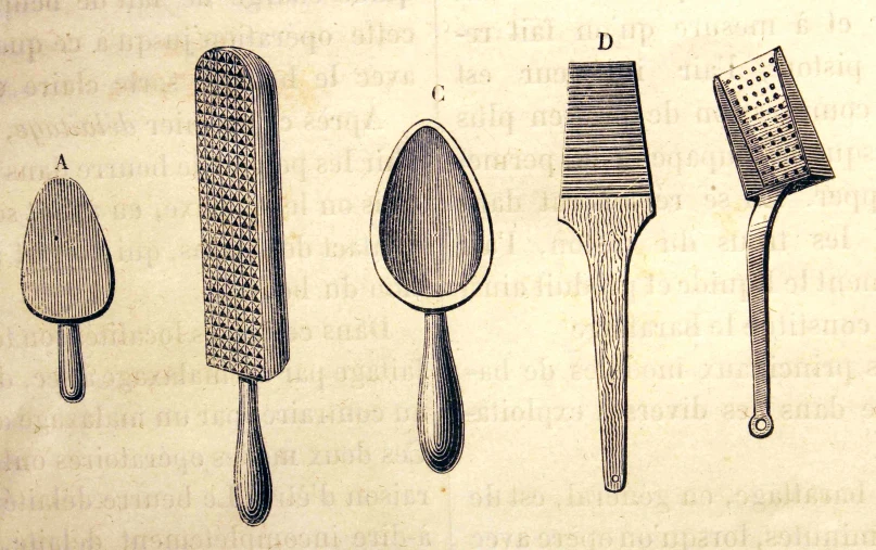 an illustration of a comb and other brush
