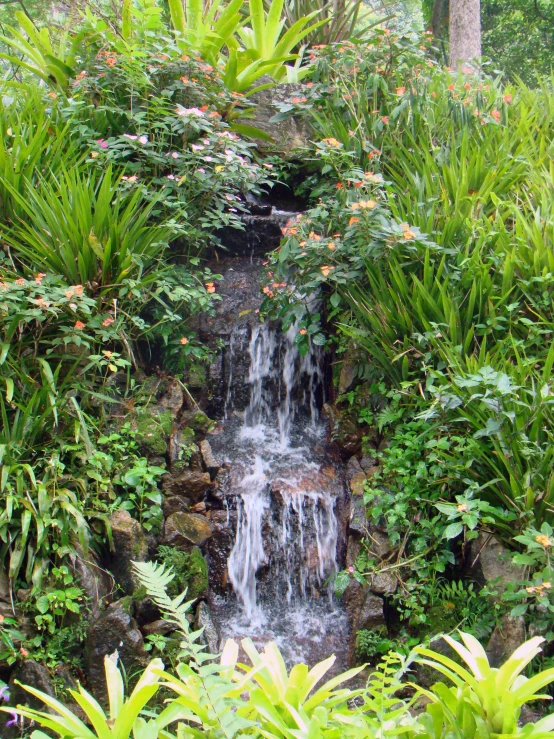 there is a waterfall and trees all around