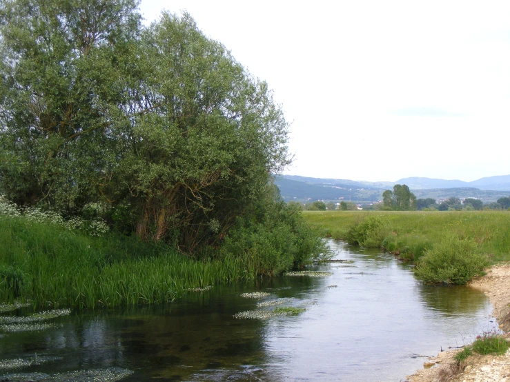 a stream runs through a lush green country area