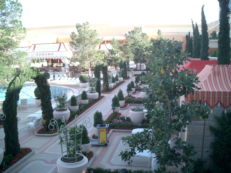 the landscape of a park setting with several trees and potted plants