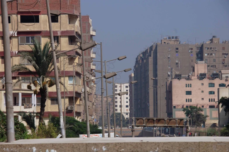 street lights and palm trees in the foreground near an urban area