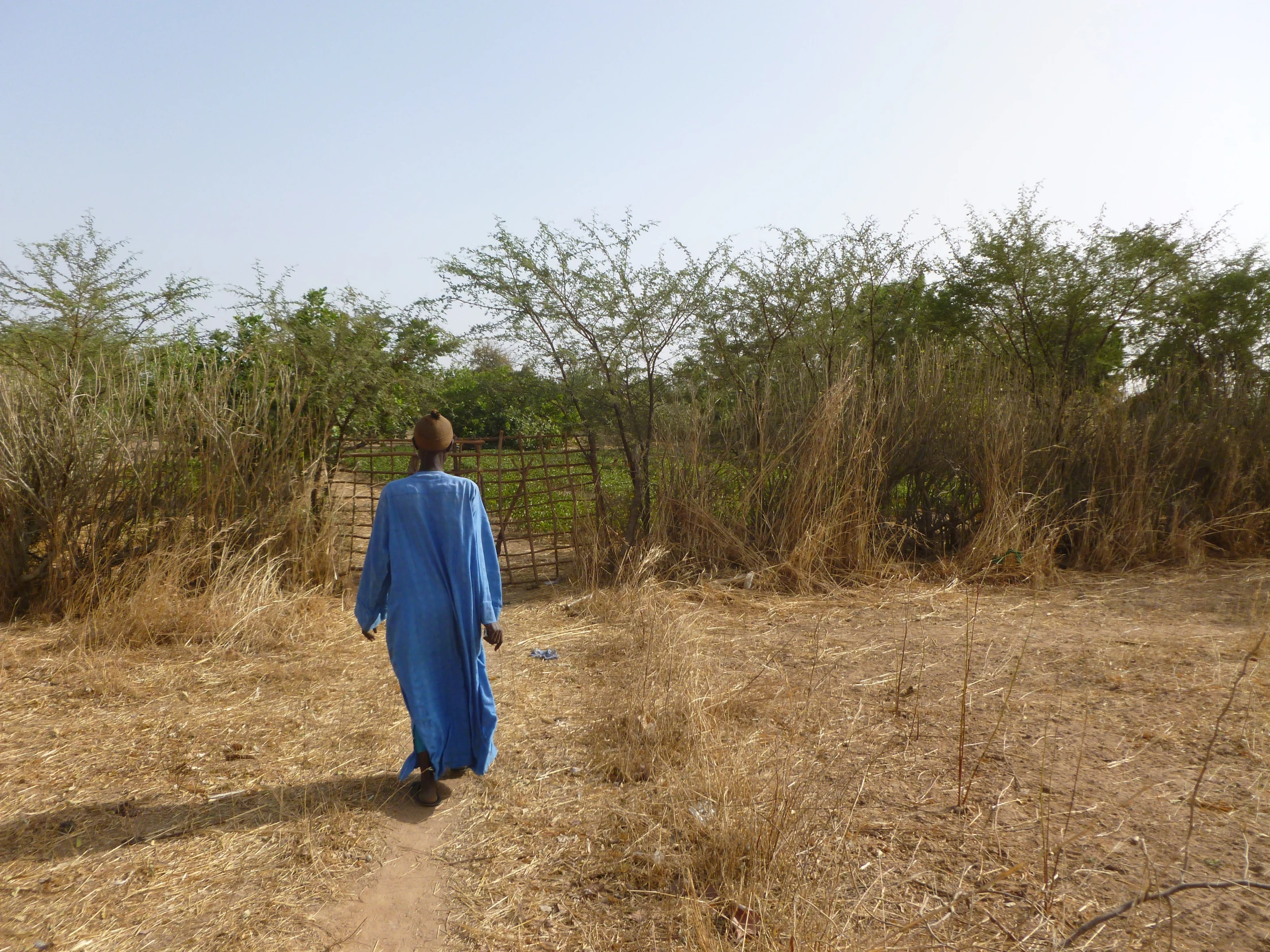 there is a man walking down the dirt path