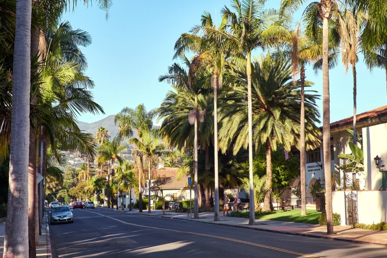 the sun shines on a city street lined with palm trees