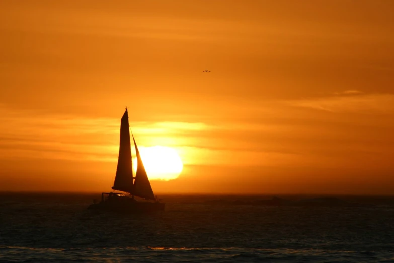 a sail boat sails past the setting sun