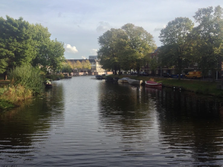 a river flowing between two buildings and trees