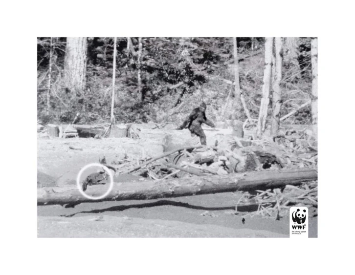 black and white po of man in woods with fallen tree