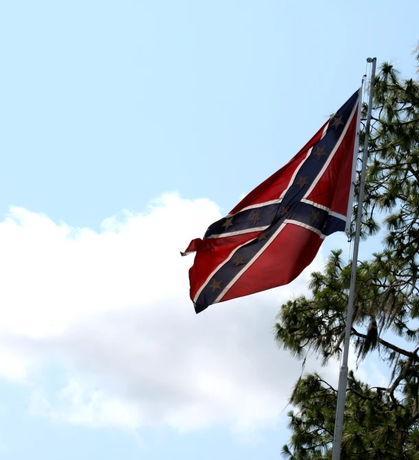 a flag flying high above trees on a sunny day