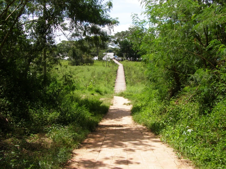 a dirt road with trees in the background