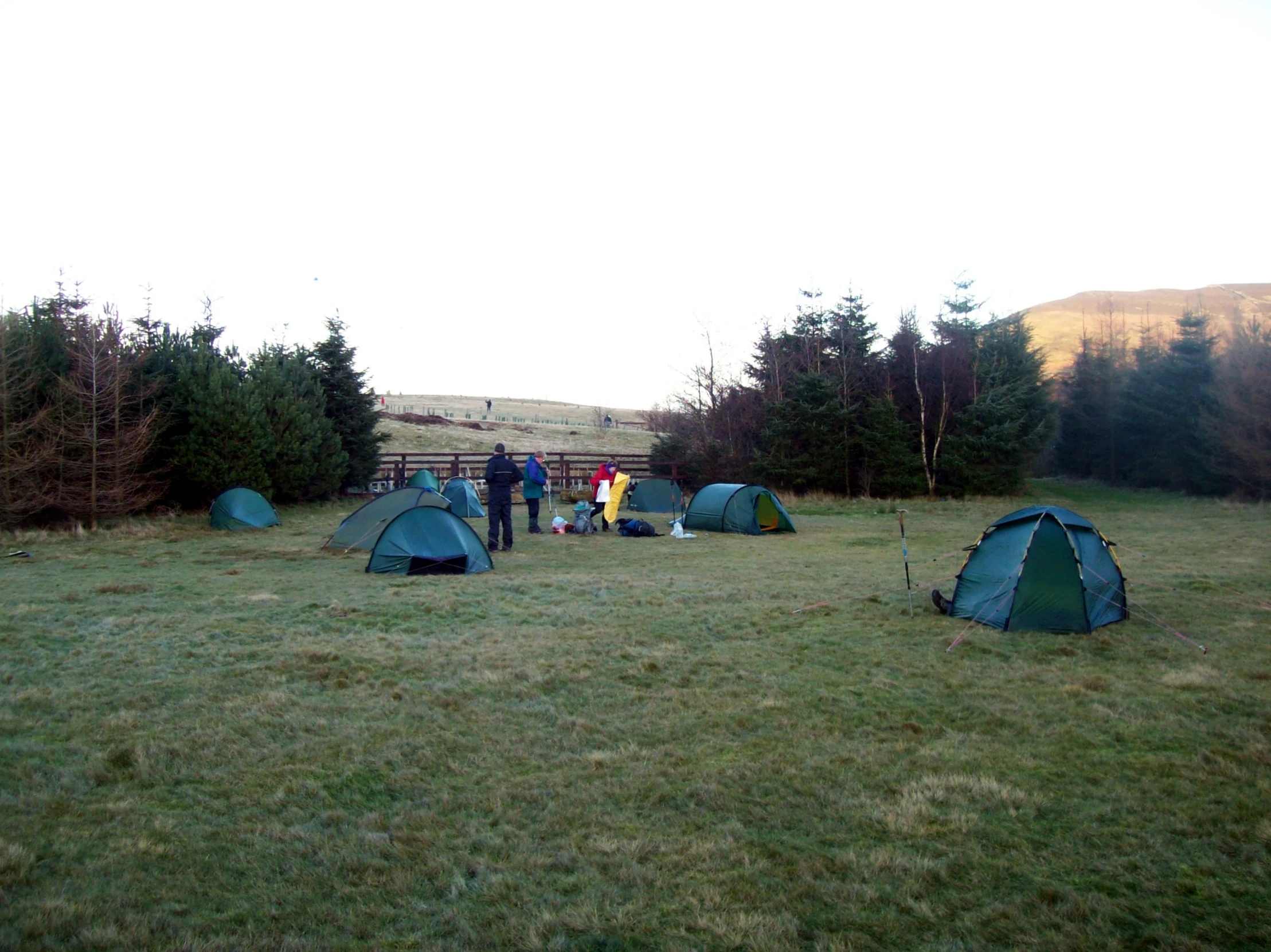 several tents pitched up in a grassy field