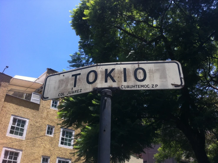 a pole with two signs next to a tree