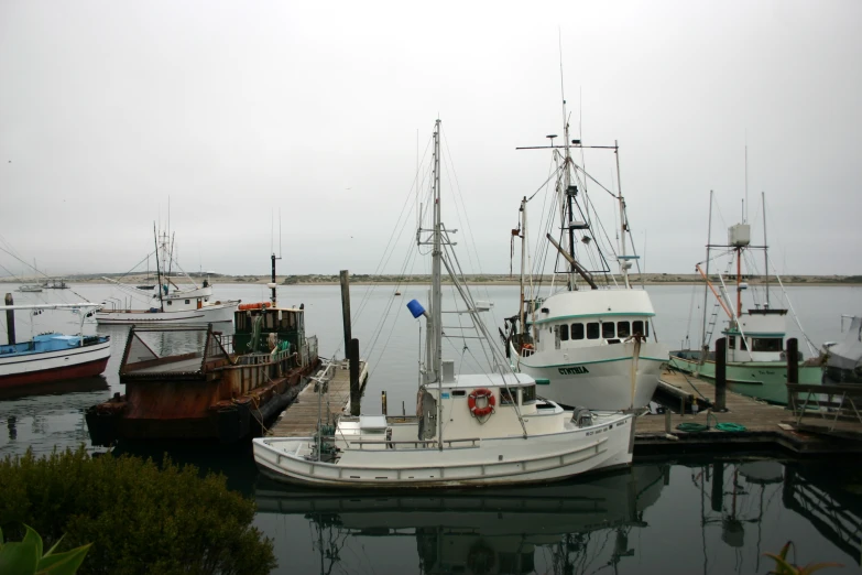 boats are docked in the water by a dock