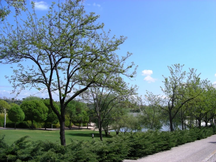 trees and bushes surround a waterway with no one sitting on it