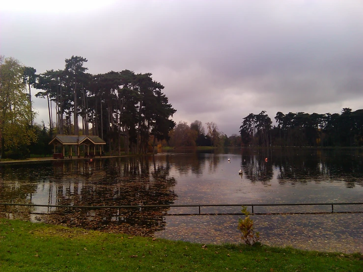 a pond that is surrounded by trees with water