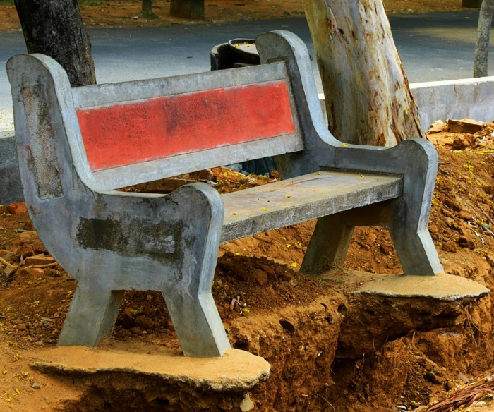 a bench is next to some trees and dirt