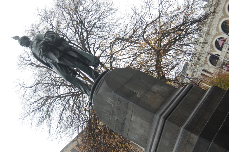 a statue is seen next to a tall tree