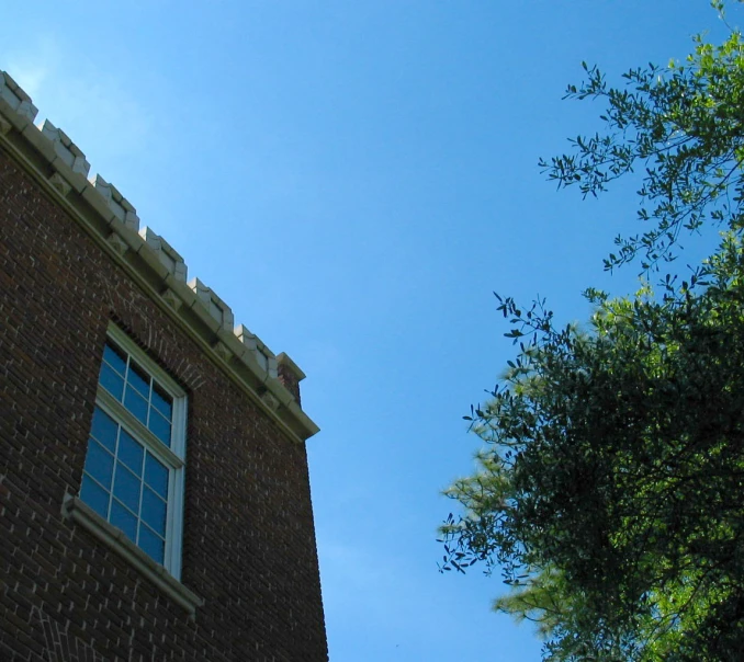 a tall brick building sitting next to a tree