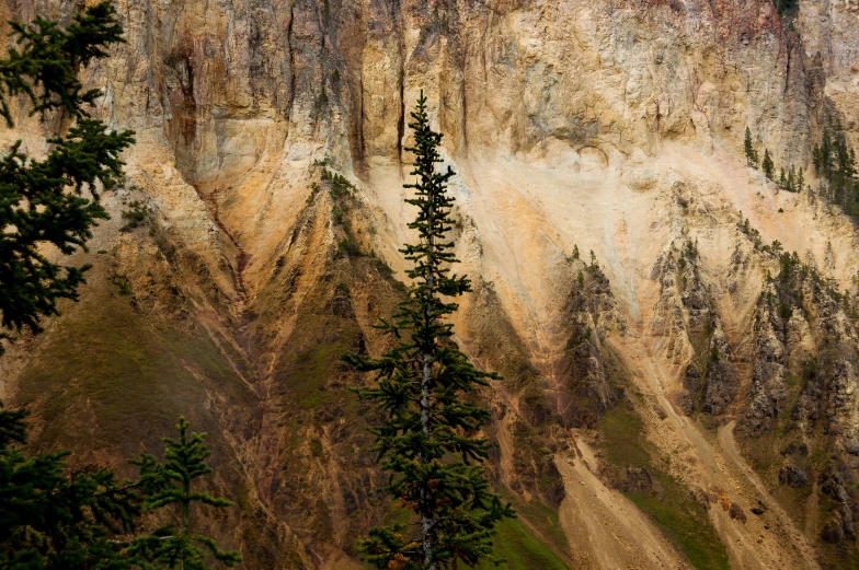 a group of mountains with trees and a plane above them