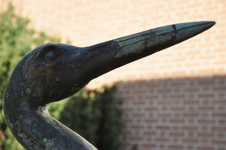 the statue shows an elegant look and has a long beak