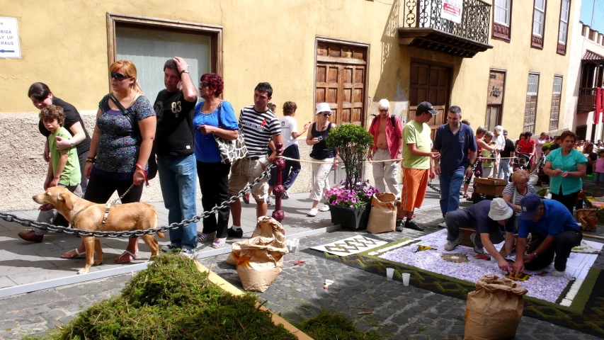 a crowd of people gathered near a fire hydrant with dogs