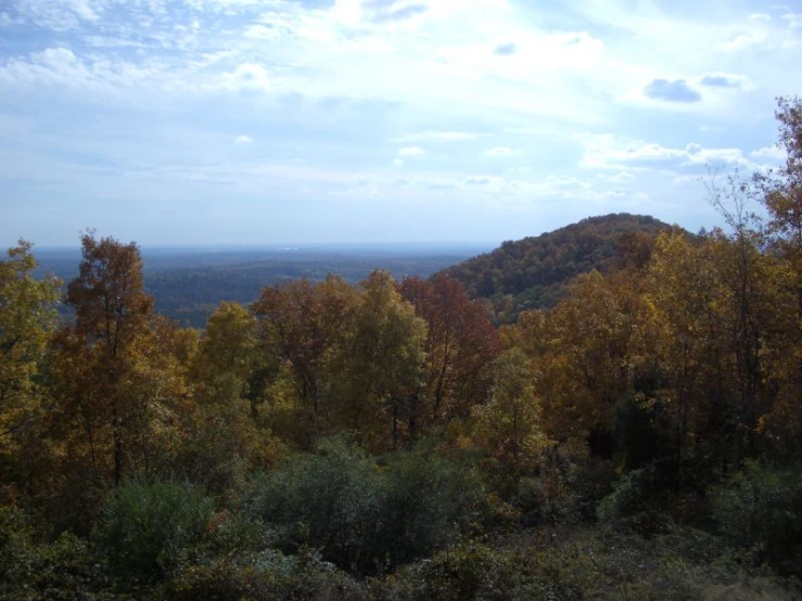 a view from the top of a hill of fall foliage