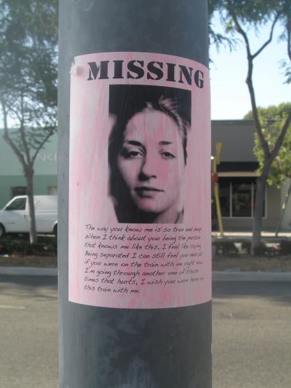 the poster shows a missing woman on a pole