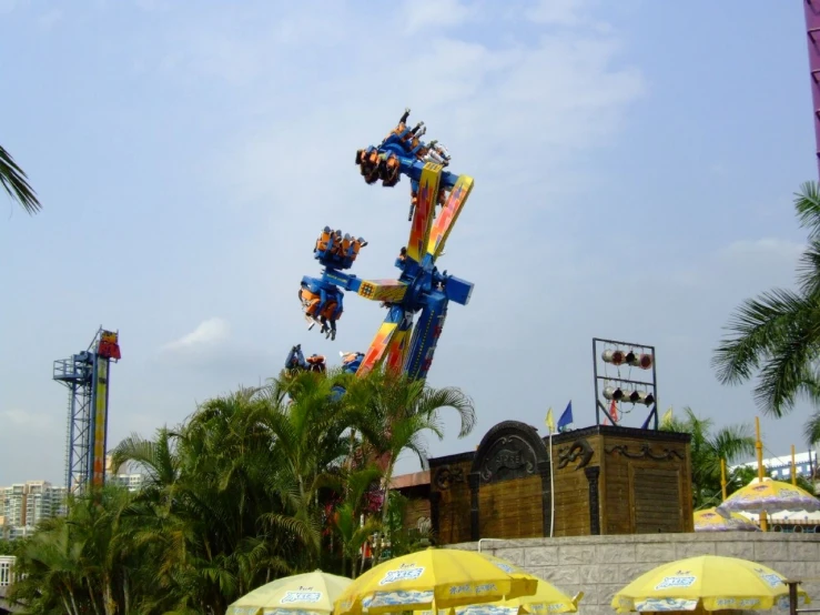 amut ride coasters in the park next to palm trees