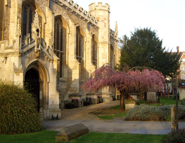 an old building has a tall tree and green grass