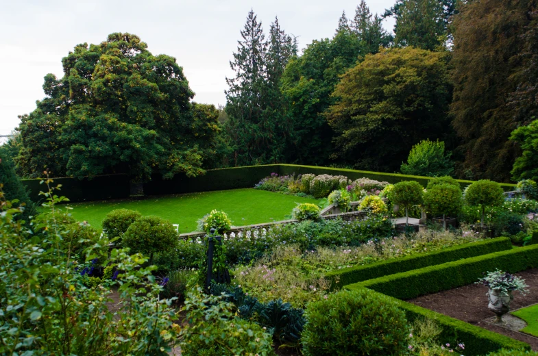 a lush green lawn surrounded by a garden filled with flowers