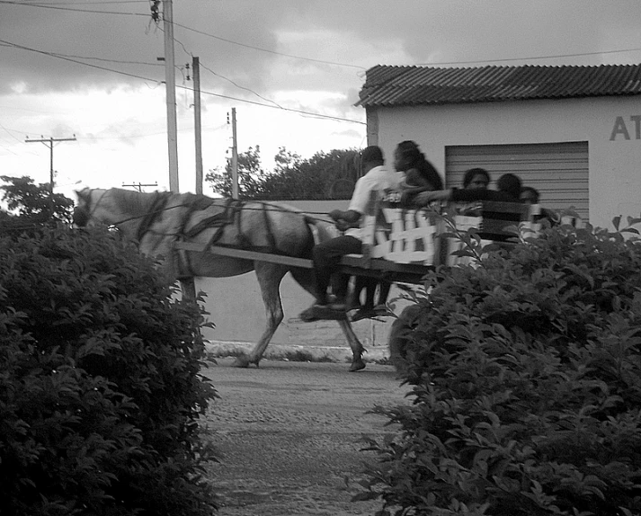 a horse pulling a wagon with passengers on it